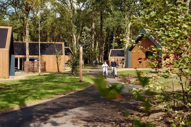 Een ontspannen fietstocht langs de huisjes van Roodewoud