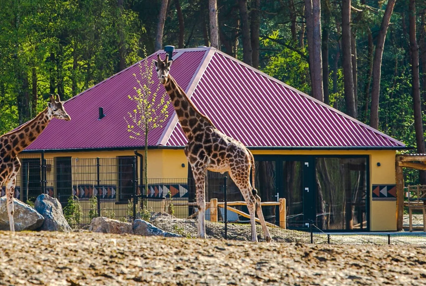 Safari Resort Beekse Bergen in Hilvarenbeek