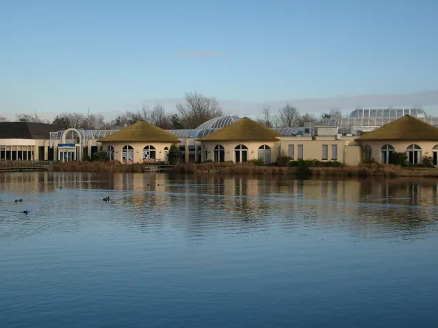 Limburgse Peel in America