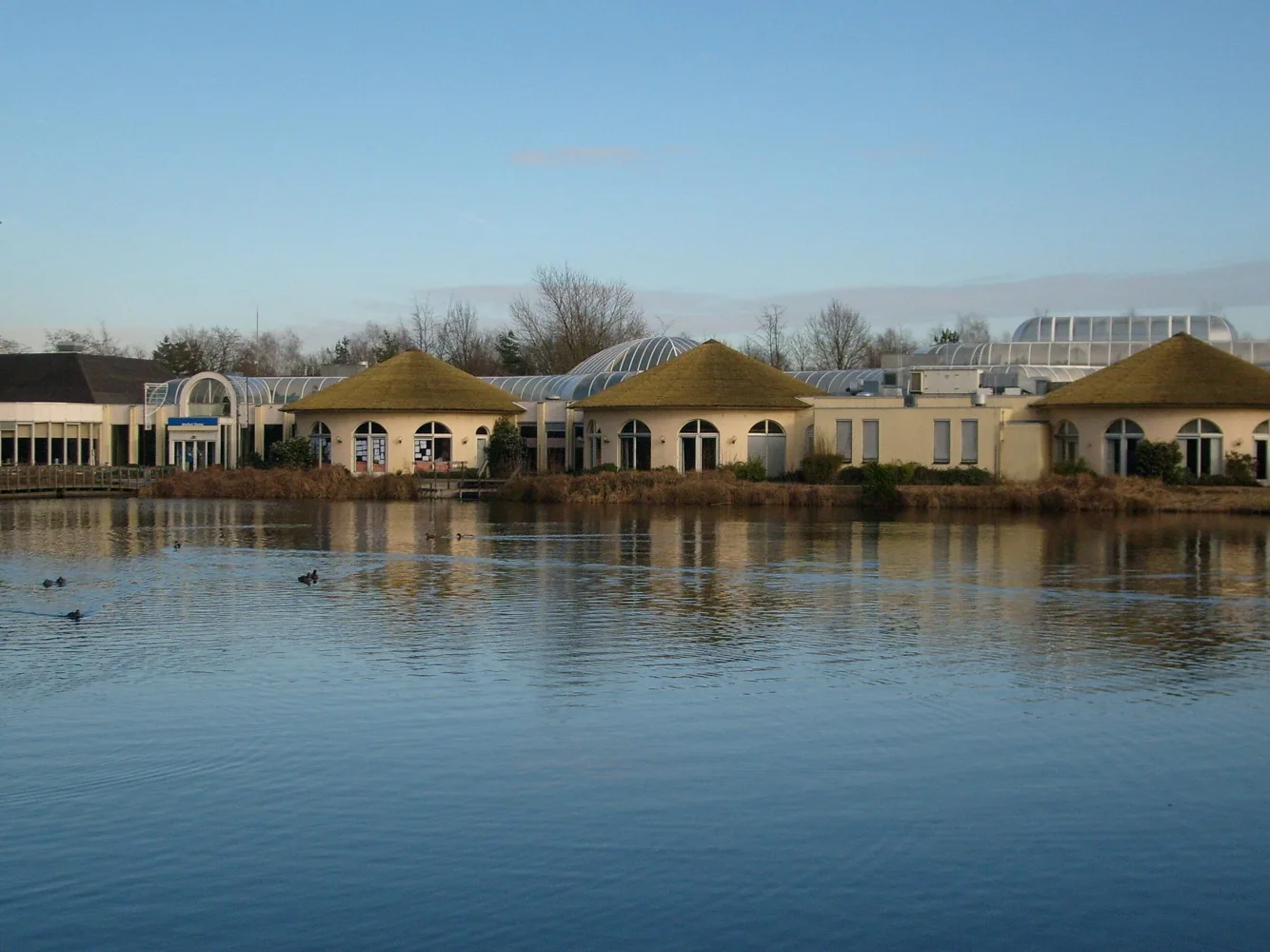Limburgse Peel in America