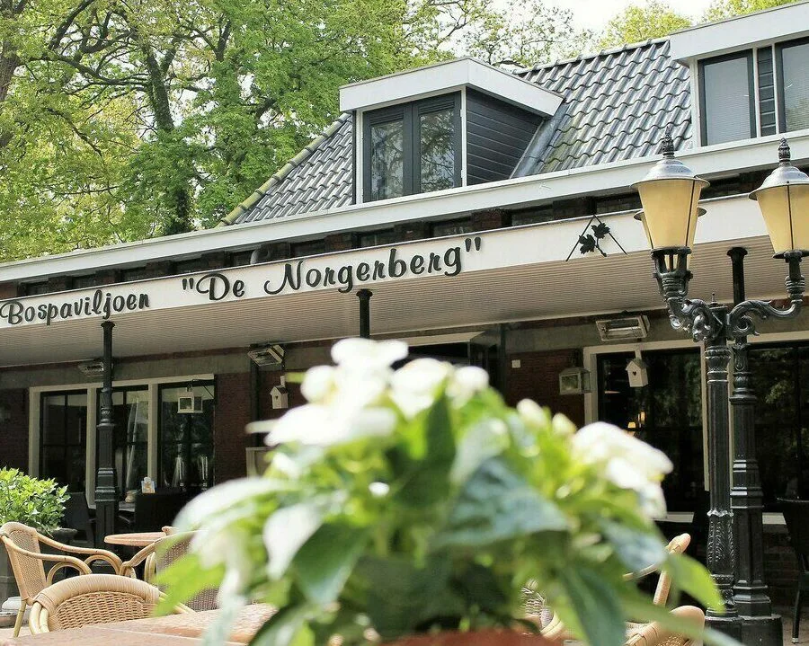 De Norgerberg in Norg